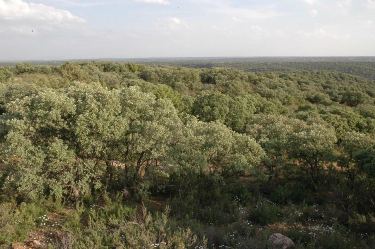 אוסה דה מונטיאל Casa Rural La Ossa מראה חיצוני תמונה