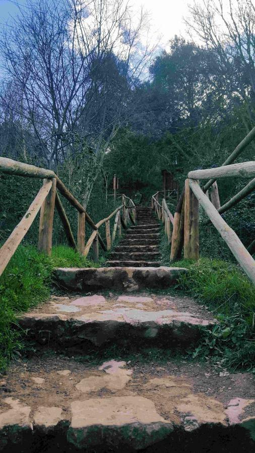 אוסה דה מונטיאל Casa Rural La Ossa מראה חיצוני תמונה